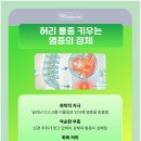 서울마디시원신경과의원 | 허리통증 정형외과 주사치료 염증 개선 효과는