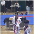 내체력 태권도장 네이버블로그