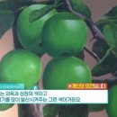 주식회사 생기의집 네이버블로그