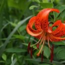 1·2·3·4 이미지