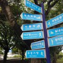 제주특별자치도체육회