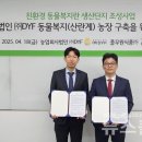 디와이 이미지