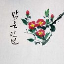 감성공감 캘리그라피 이미지