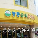 풍동숲속유치원 이미지