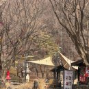 서운농장 이미지