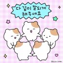 일상 포토덤프 5주차 레츠고~