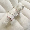 영스몰
