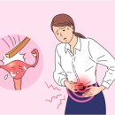 세이지 필라테스 이미지