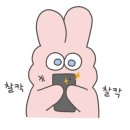 웅참치 이미지
