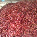 사과랑 고추랑 이미지