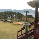 아지랑냉이랑 이미지