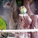 구로애조원 이미지