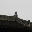 유원장식 이미지