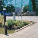당북리농로 Daum카페