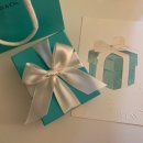 티파니하우스 | [TIFFANY & CO] 데일리로 매일 착용하는 티파니앤코 실버 더블하트 목걸이 리턴투티파니 내돈내산 후기