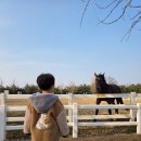 세움아이유치원 | 첫외출 실패의 날
