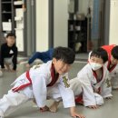 마루한튼튼2태권도장 이미지