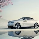 황소카인테리어 이미지