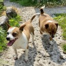 무룡분교 이미지