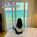 세븐일레븐 파인아트라벨점 | 강릉 안목해변 숙소 파인아트라벨 강릉호텔 추천 호캉스