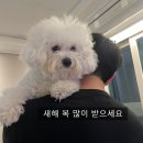 세븐일레븐 방어사랑 | 미루기갑 일상다반사 이걸 이제 올리네 쩝