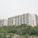 삼환환경개발 Daum카페