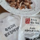 오징어를찾는사람들 이미지