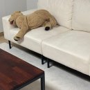 이지이샵 | 행복주택 36형 입주 비용 총정리! / 사회초년생 가성비 인테리어 / 행거, 삼성냉장고 세탁기, 리움 모듈...