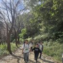 부산혜성학교 이미지