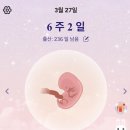 서구보건소 | 임신 초기 산전검사받으러 인천 서구 보건소 다녀온 후기 (ft. 임산부 등록 선물)