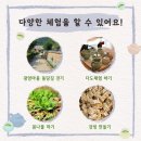 우리손 영암농장 네이버블로그