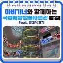 [공지] [마비기너] 마비기너와 함께하는 국립해양생물자원관 탐험! (feat. 발대식 후기)