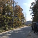 곰재농장 이미지