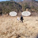 원촌교