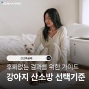 강산동물병원 | 강아지 산소방 고를 때 체크해야 할 기준 : 후회 없는 선택을 위한 가이드