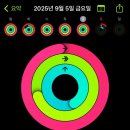 크로스핏 오늘 이미지