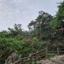공주-21 이미지