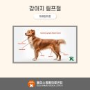 블리스 동물의료센터 이미지