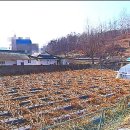 토지박사공인중개사사무소 이미지