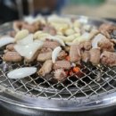 부산기장산곰장어 이미지