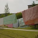 상록세탁 이미지