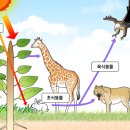 태양에너지 이미지