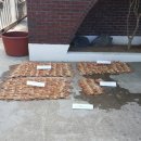 동해-단속-24 이미지