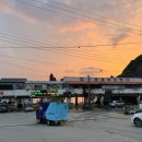 울릉도회산오징어