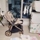 [내돈내산] 디럭스절충형 유모차 오이스터3 후기
