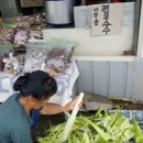 산마루정 이미지