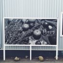 영농조합법인 무릉 이미지