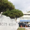 투데이몰 이미지