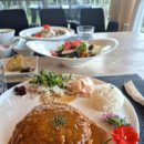 베리코스 이미지