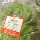 풍성농원 이미지